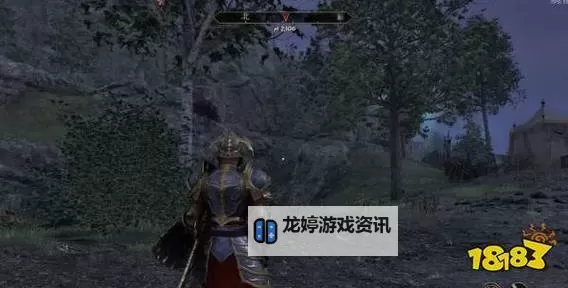 《上古卷轴4重制版》豪华版限定套装获取 豪华版秩序与灾变套装怎么获得图2