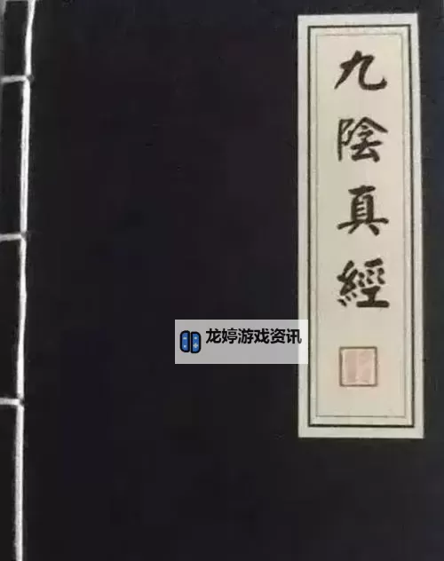 九阴真经君子堂6内揭秘:武林秘籍的至高奥义图2