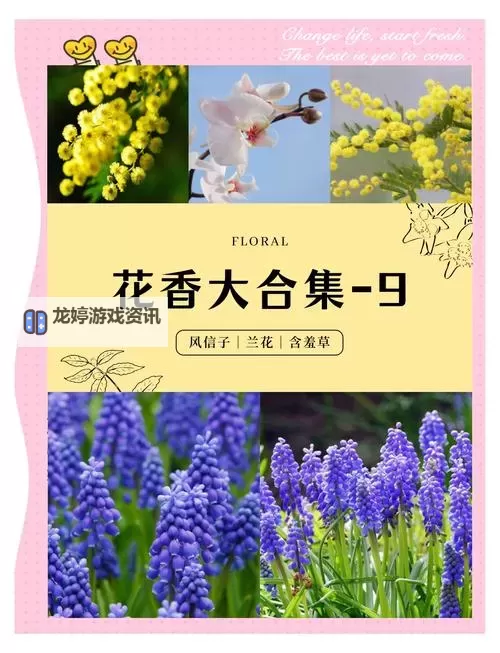 《诛仙世界》奶灵汐技能机制及手法教学 奶灵汐天书加点与装备星魄推荐图1