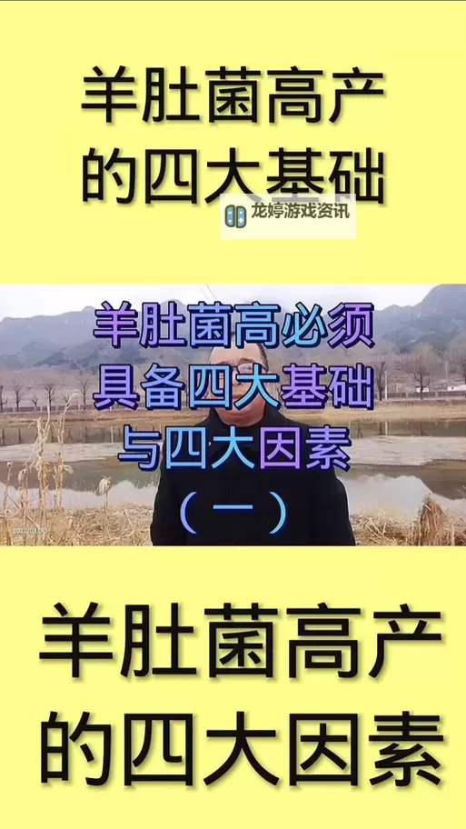 《七日世界》羊肚菌获取位置推荐 羊肚菌在哪里获取图1