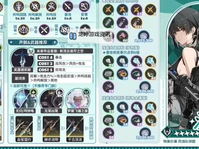 《鸣潮》湮灭漂泊者全面培养攻略 暗主出装与配队推荐图2