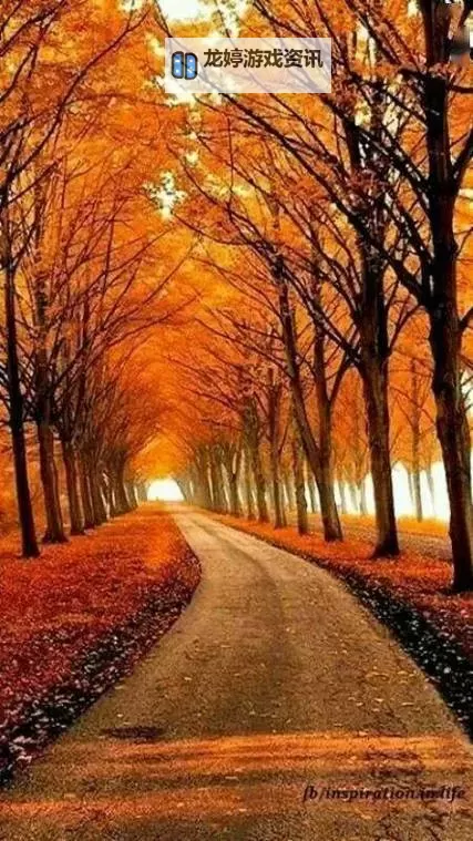 探索户外插bbbbb的精彩体验与实用指南图2