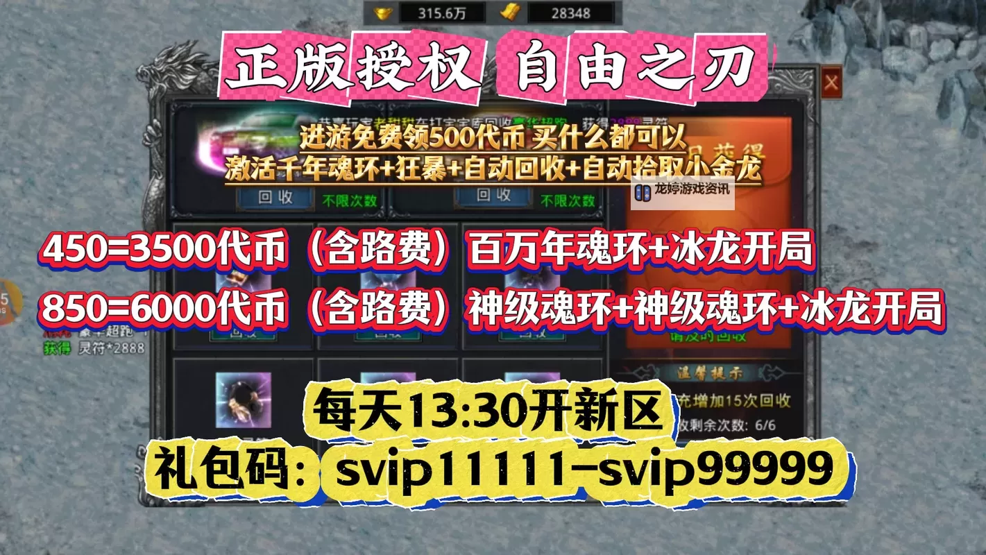 自由之刃怎么双开  自由之刃双开挂机软件推荐图1