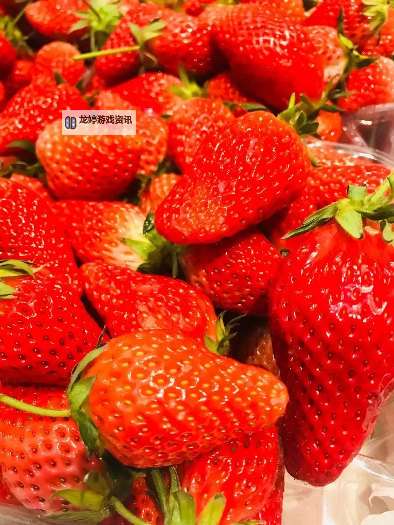 探索最新精彩内容:草莓视频啊啊啊啊啊带你畅享视觉盛宴图1