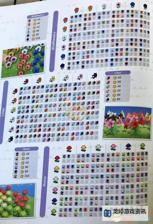 《集合啦动物森友会》快速刷樱花花瓣技巧图1