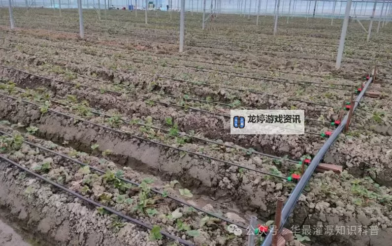 提升农业效率:优质灌溉系统唐宁的创新与应用图1