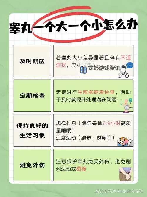 男女日蛋：温馨爱情的甜蜜时光图1