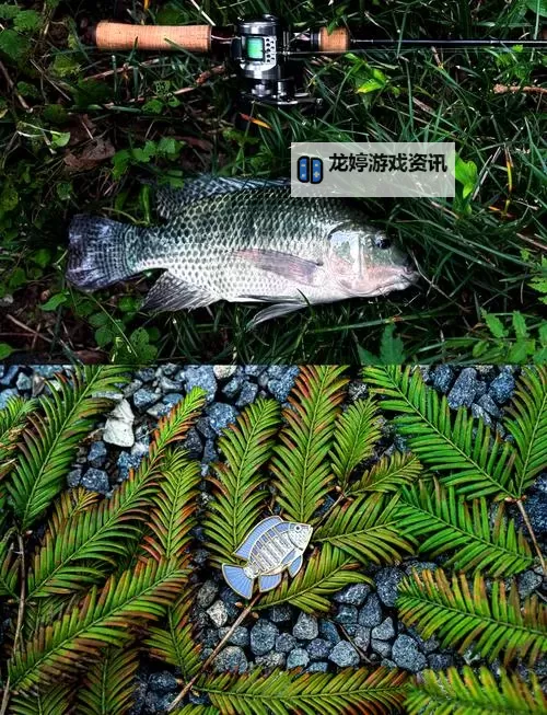 《最终幻想15(FF15)》全100种鱼图鉴 钓鱼地点、诱饵及获得道具一览图1