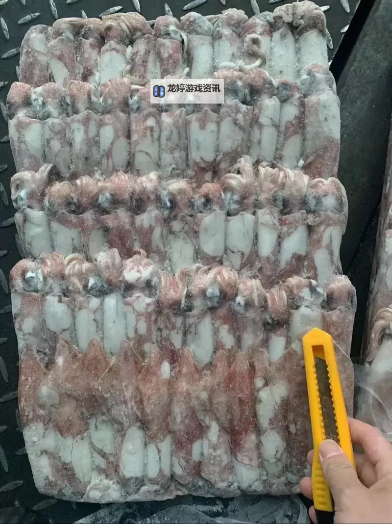 探索最新资源：鱿鱼网BY66626的精彩内容与使用指南图1