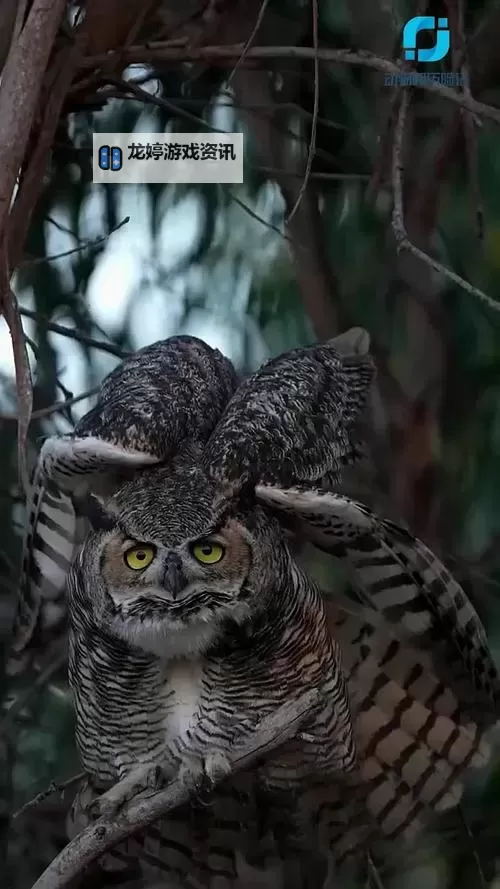 探索成人视频内容:亚洲色偷偷综合亚洲的多元呈现与文化背景图1