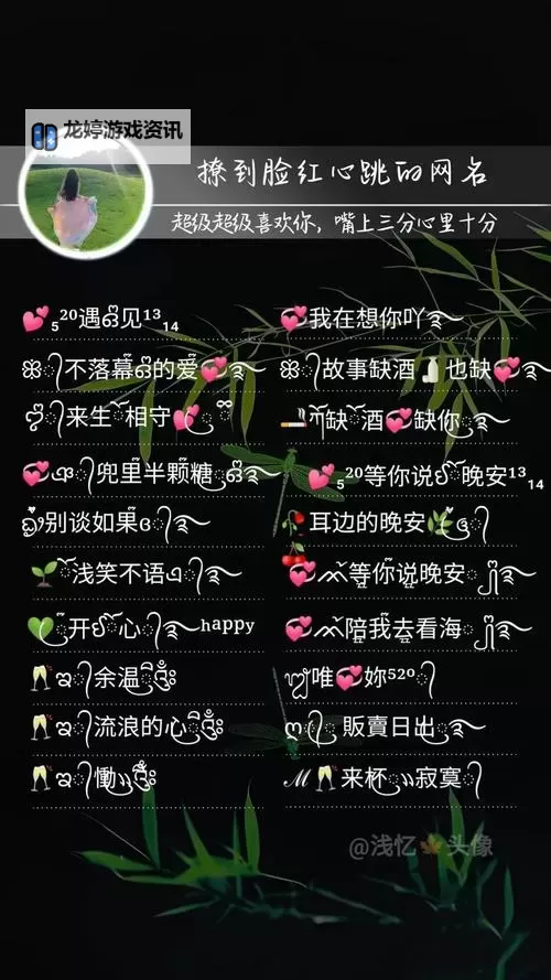 2013年最潮最新网名推荐：独一无二的最新网名2013精选大全图1