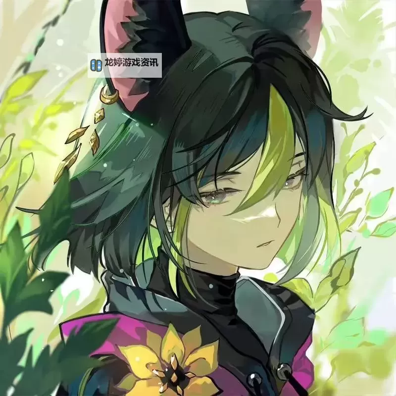 《原神》提纳里输出手法教学 提纳里怎么玩图1