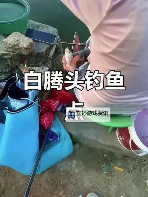 探索珠海钓鱼网:畅享海钓乐趣的必备平台图1