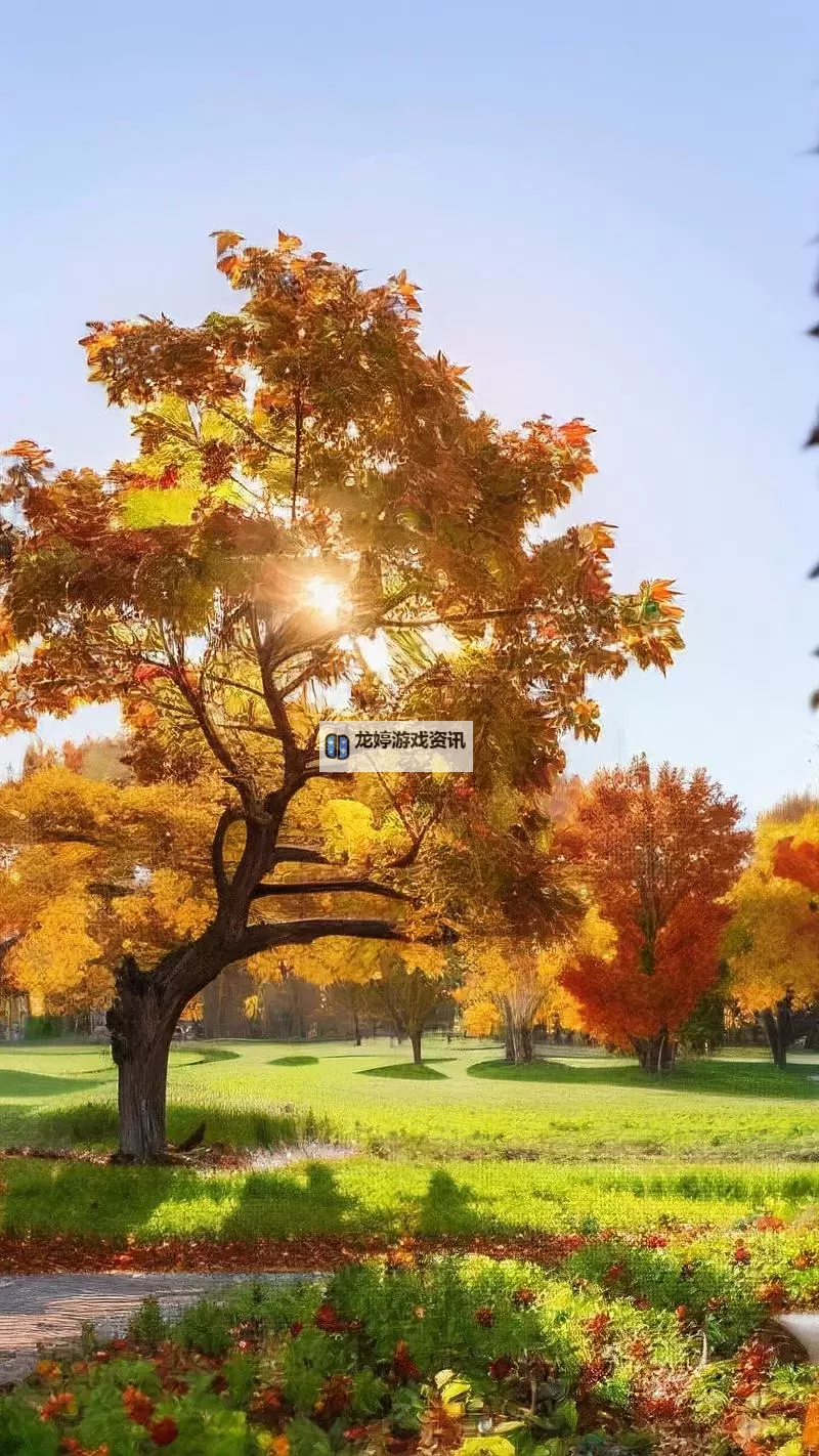 探索全新娱乐体验:X8X8拨牐拨牐X8免费视频8文字全解析图1