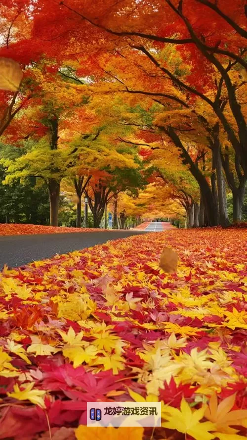 探索全新娱乐体验:X8X8拨牐拨牐X8免费视频8文字全解析图2