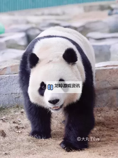 《狙击精英抵抗》第八关收集地图分享 第八关物品位置一览图2