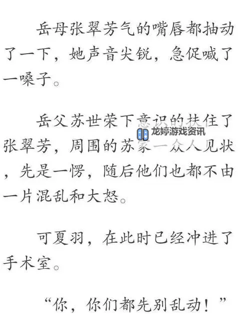 岳婿合体10章之后还有原著吗:后续剧情解析与展望图1