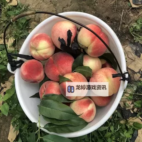 怎么双开阴阳界? 阴阳界双开挂机图文全攻略图1