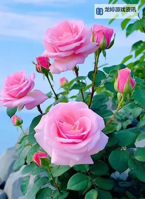 探索未来体验:深度解析KXK蓝色网站的独特魅力图1