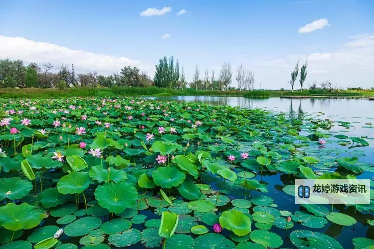 么么哒作战双开挂机软件推荐  怎么双开么么哒作战详细图文教程图1