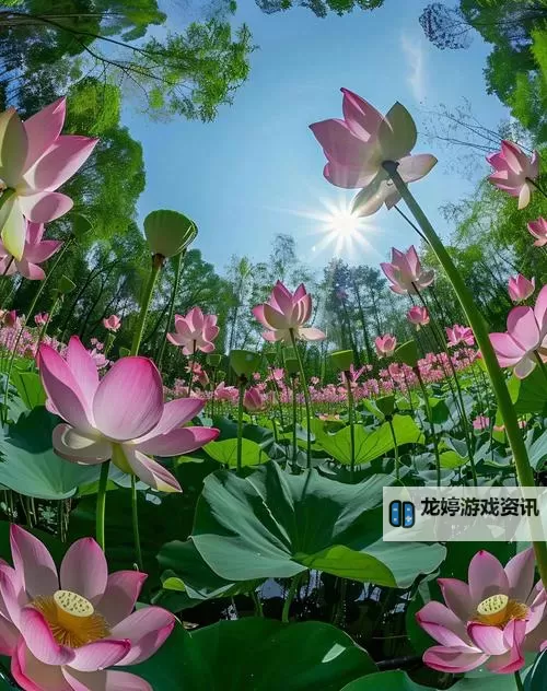 666 狼友 麻豆 大胆导航：你懂得导航图1