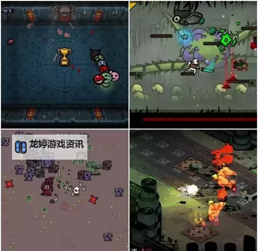 热门肉鸽动作游戏分享 热门肉鸽动作游戏盘点图1