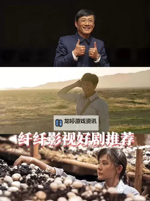影音先锋中文字幕纤纤影视:字幕与画面的和谐之旅图1