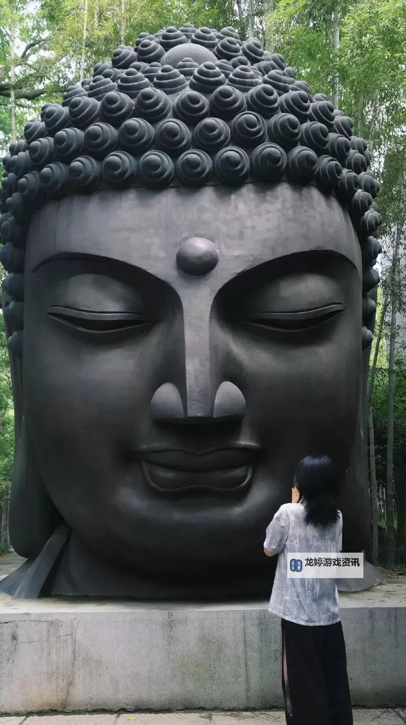 中国佛友网:在静默与慈悲之间,聆听心灵的回响图1