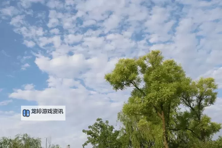 《赛博朋克2077》2.1版本全任务流程图 2.1版本本体与DLC往日之影全任务完成顺序图1