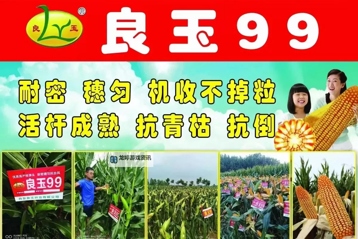 久久四的光影:一座城的往日与新生图1